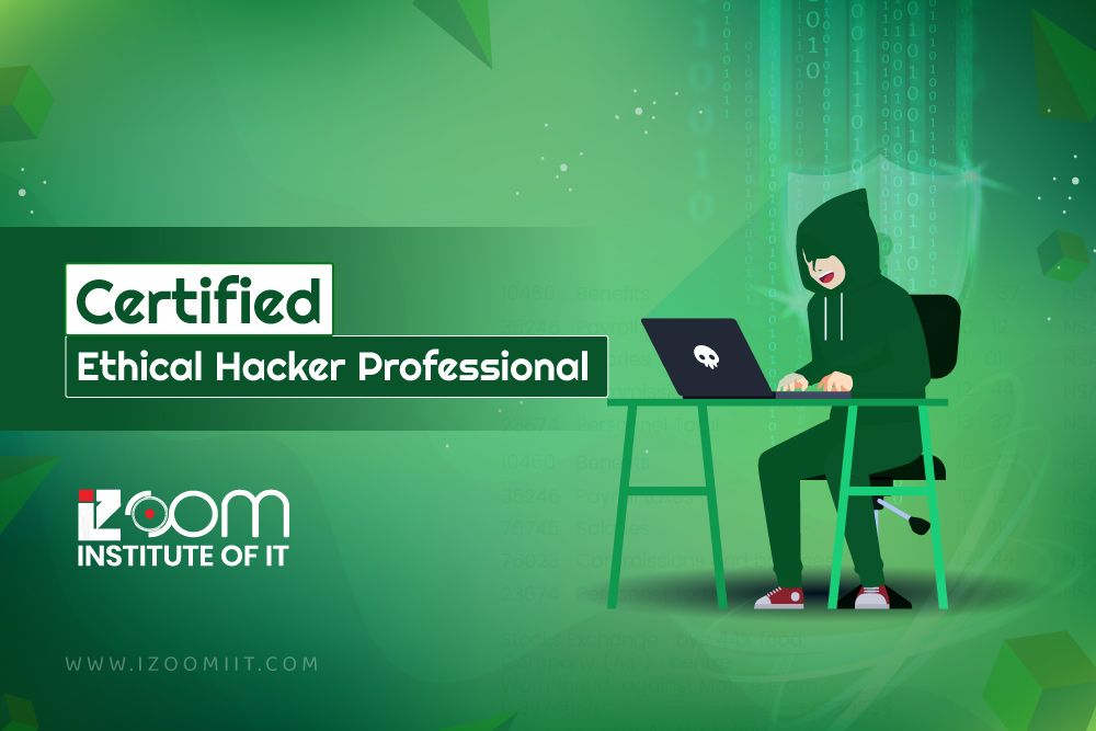 Certified Ethical Hacker Professional